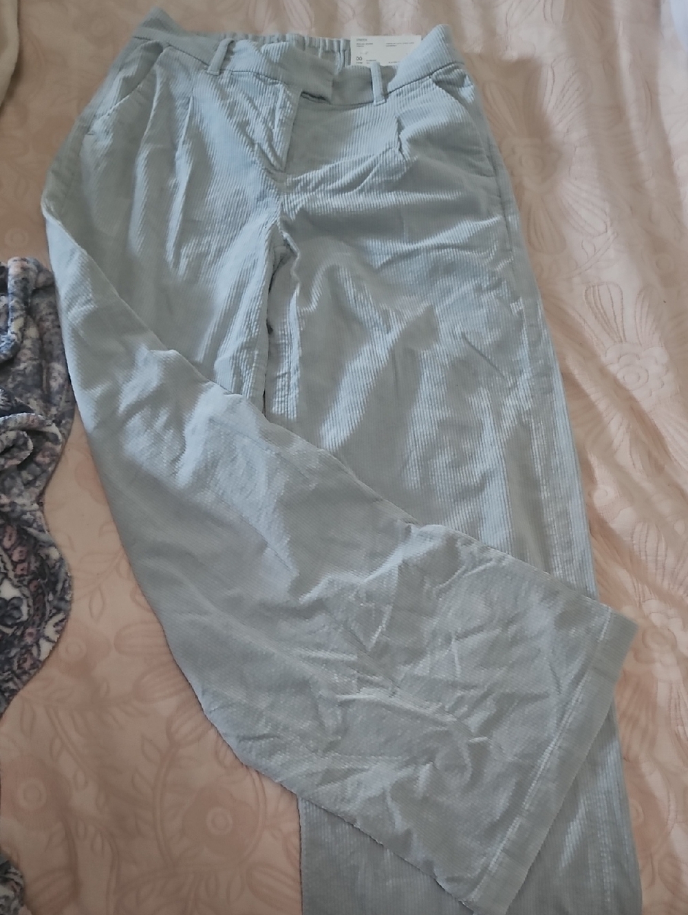 Light Blue Women Corduroy Pants